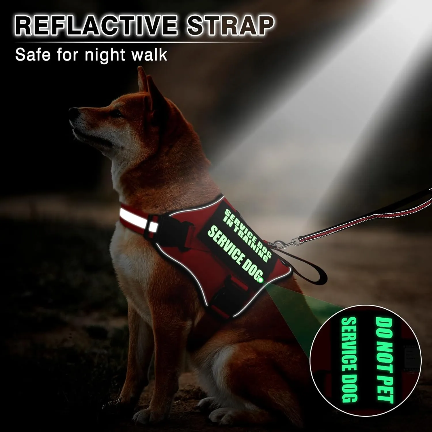 Service Dog Vest Harness and Leash Set 10 Patches,No Pull&Adjustable Reflective Dog Harness with Soft Padded Handle for Training/Everyday,Fit Small/Medium/Large/Extra-Large Dogs (Red S)