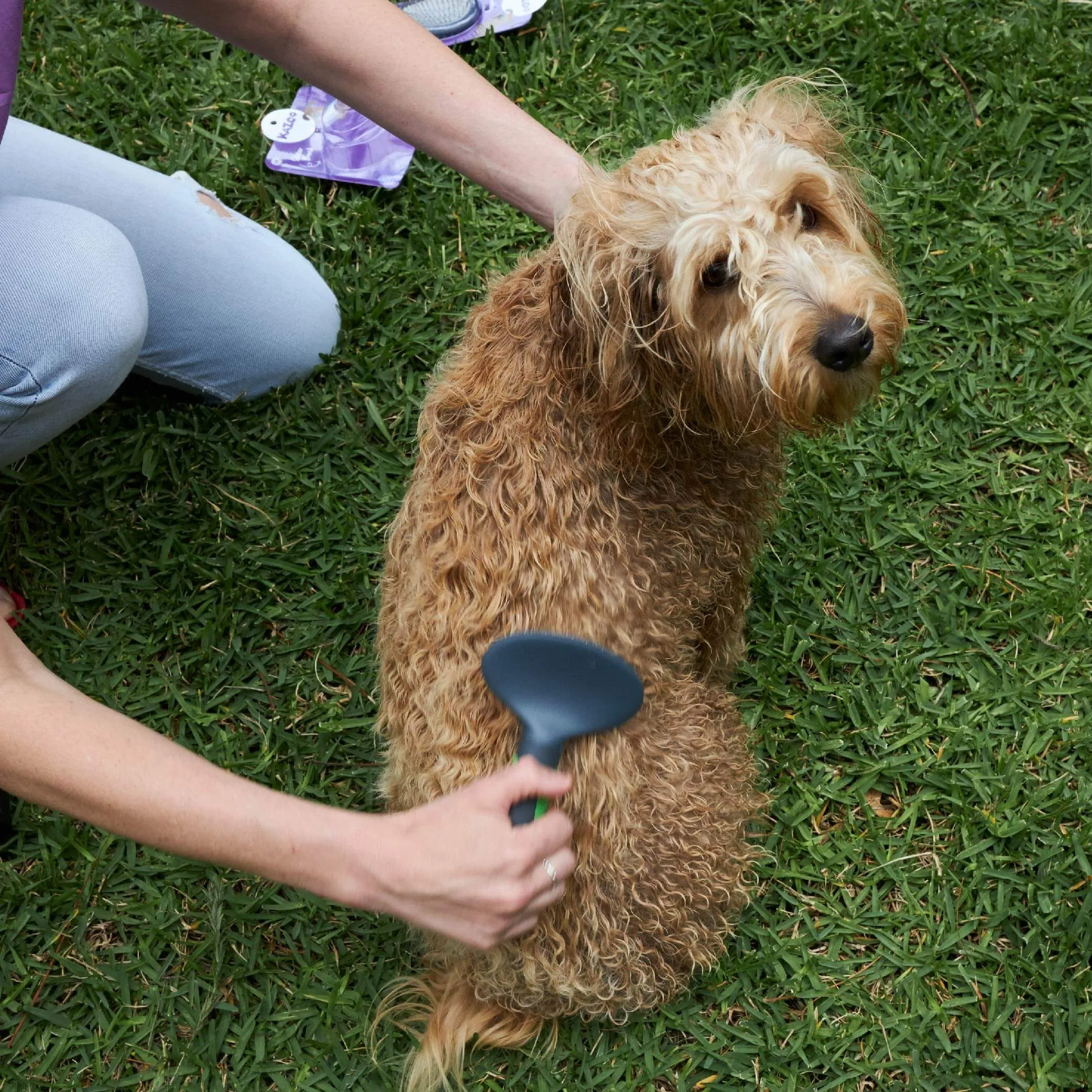 Slicker Brush