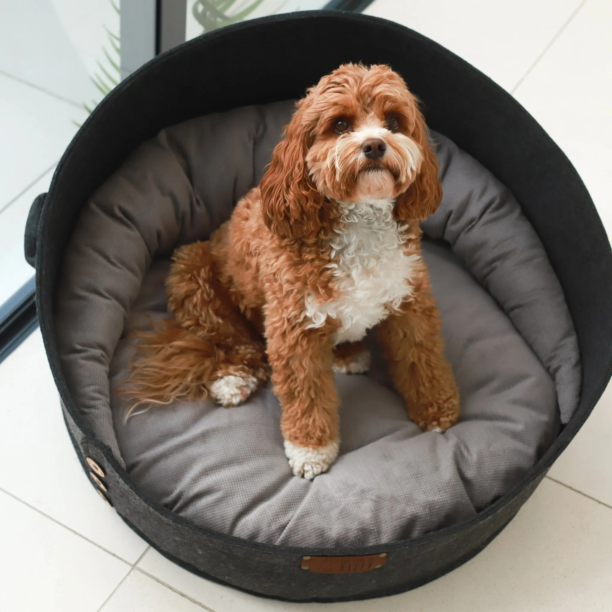 Spare Cover - The Pod Bed