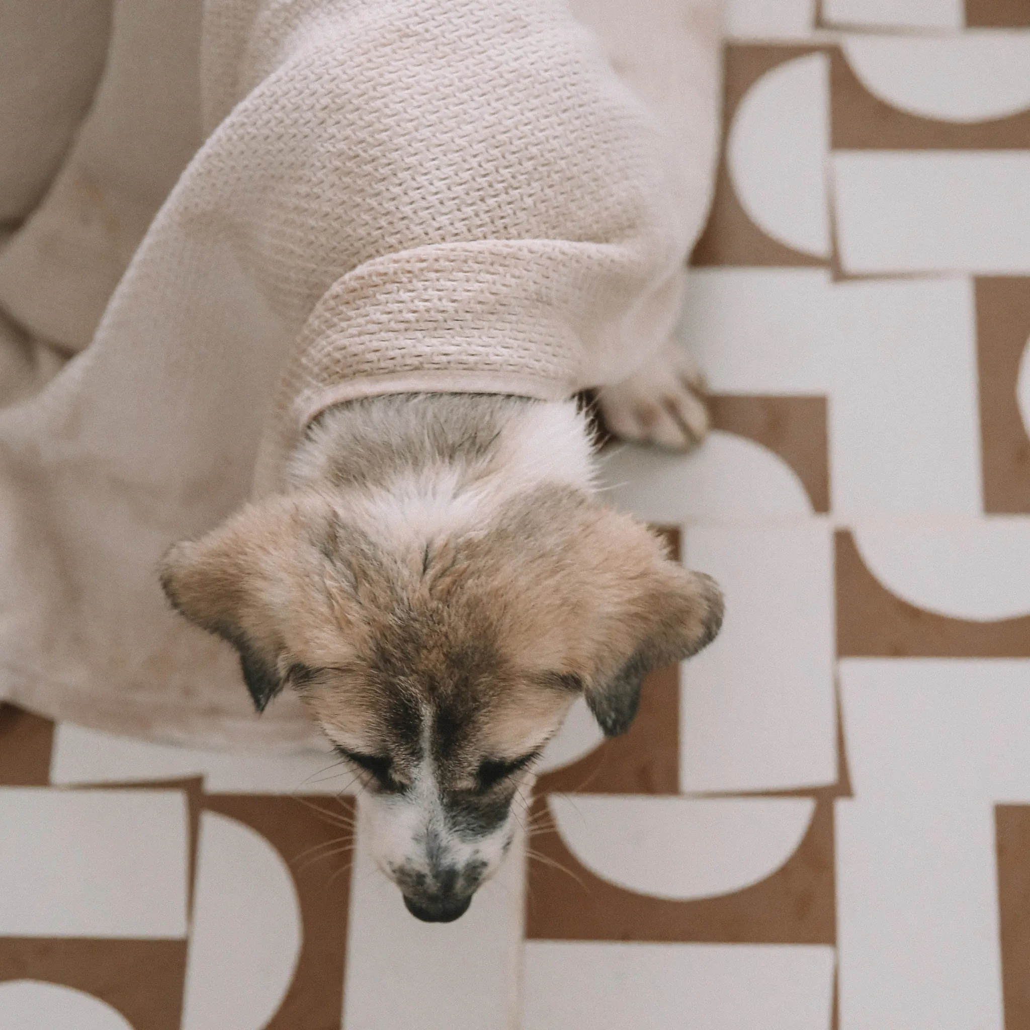 StayFresh™ Honeycomb Towels