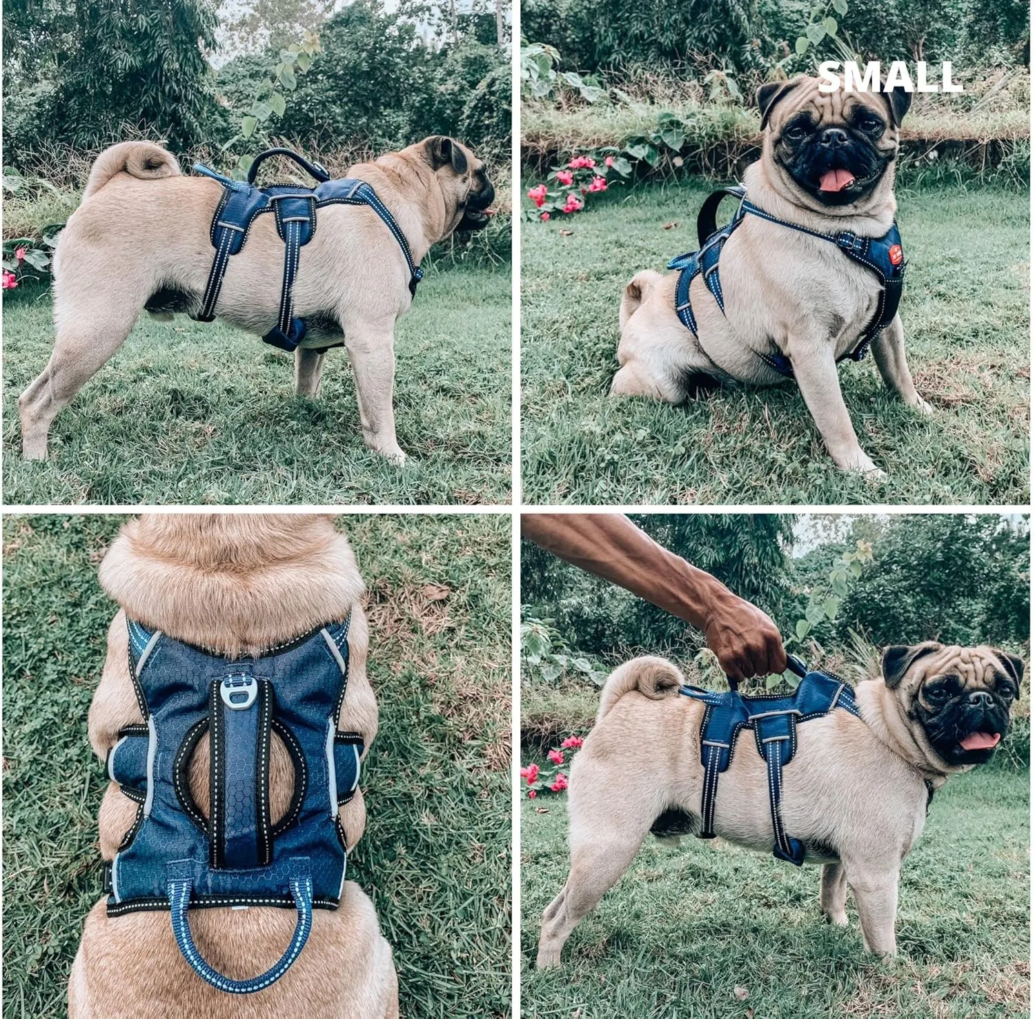 Tuff Pupper Escape Proof No Escape Dog Harness | 5 Point Adjustable Fit Harness for Dogs | Padded Dog Harnesses | Handle Dog Lift Harnesses
