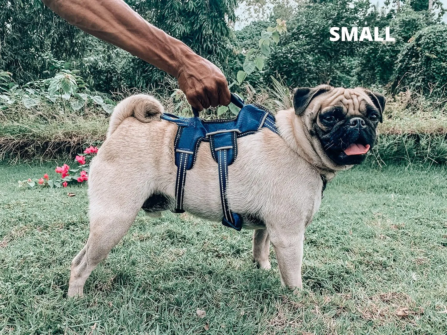 Tuff Pupper Escape Proof No Escape Dog Harness | 5 Point Adjustable Fit Harness for Dogs | Padded Dog Harnesses | Handle Dog Lift Harnesses