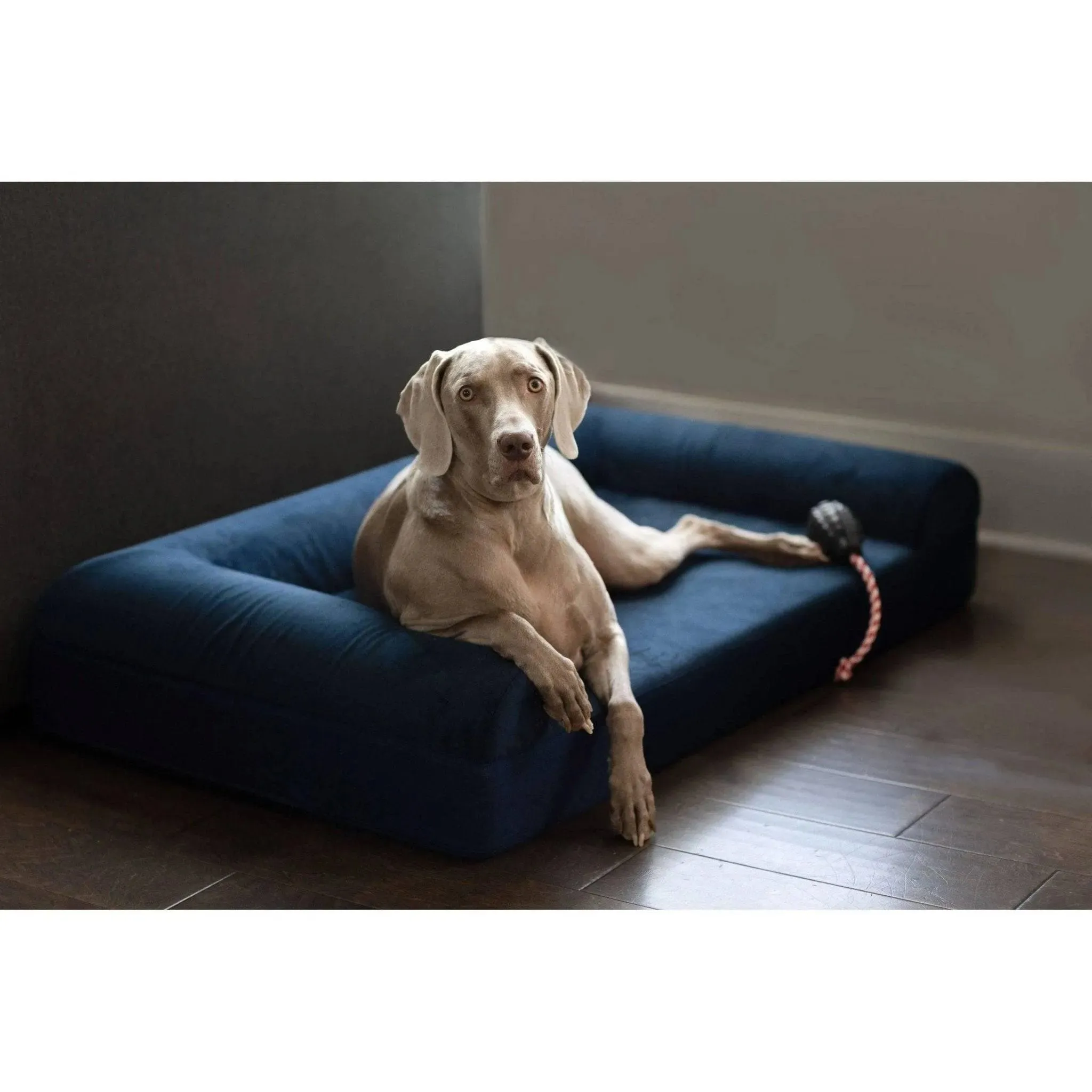 Ultra Vel Orthopedic Dog Couch