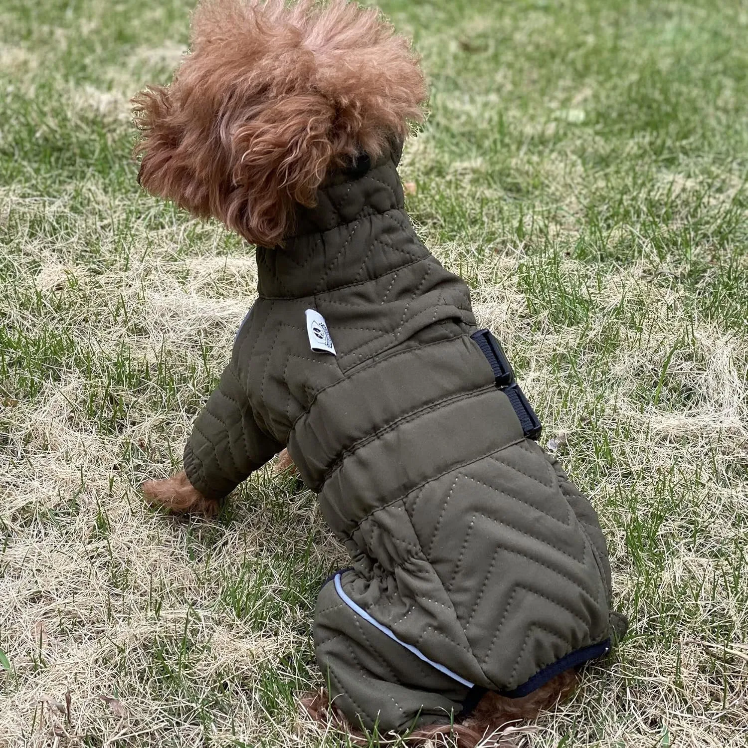 Warm Double Layers Dog Vest - 4 Legs Covered Windproof Waterproof Reflective Coat for Small Medium Large Dogs - Outdoor Skating Costume - Olive M