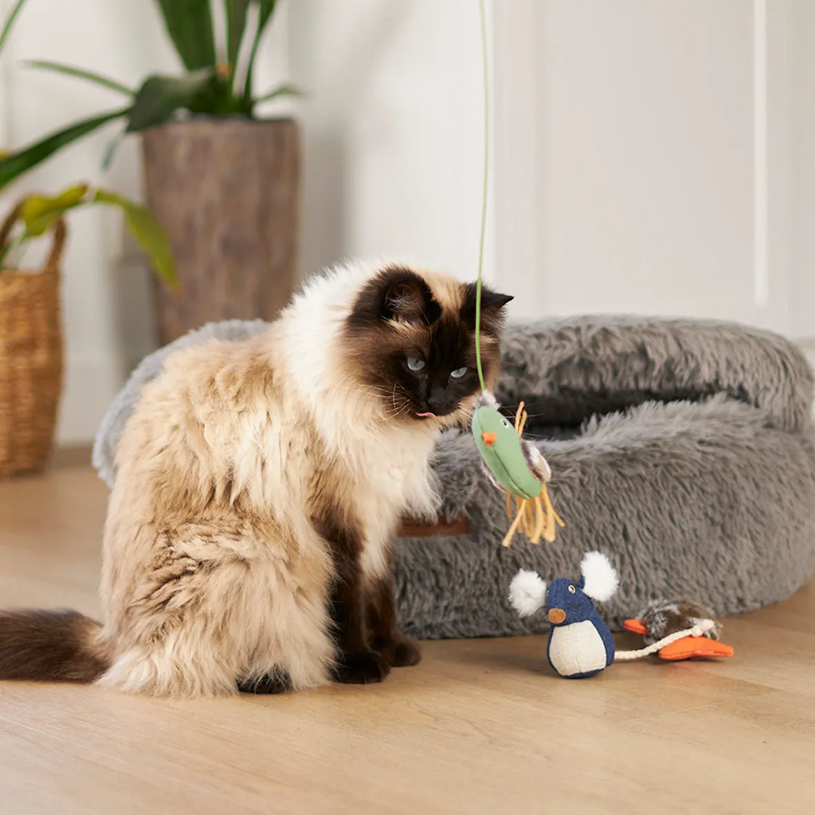 Wobble Mouse with catnip