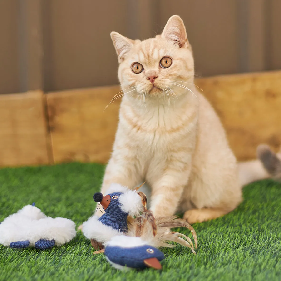 Wobble Mouse with catnip