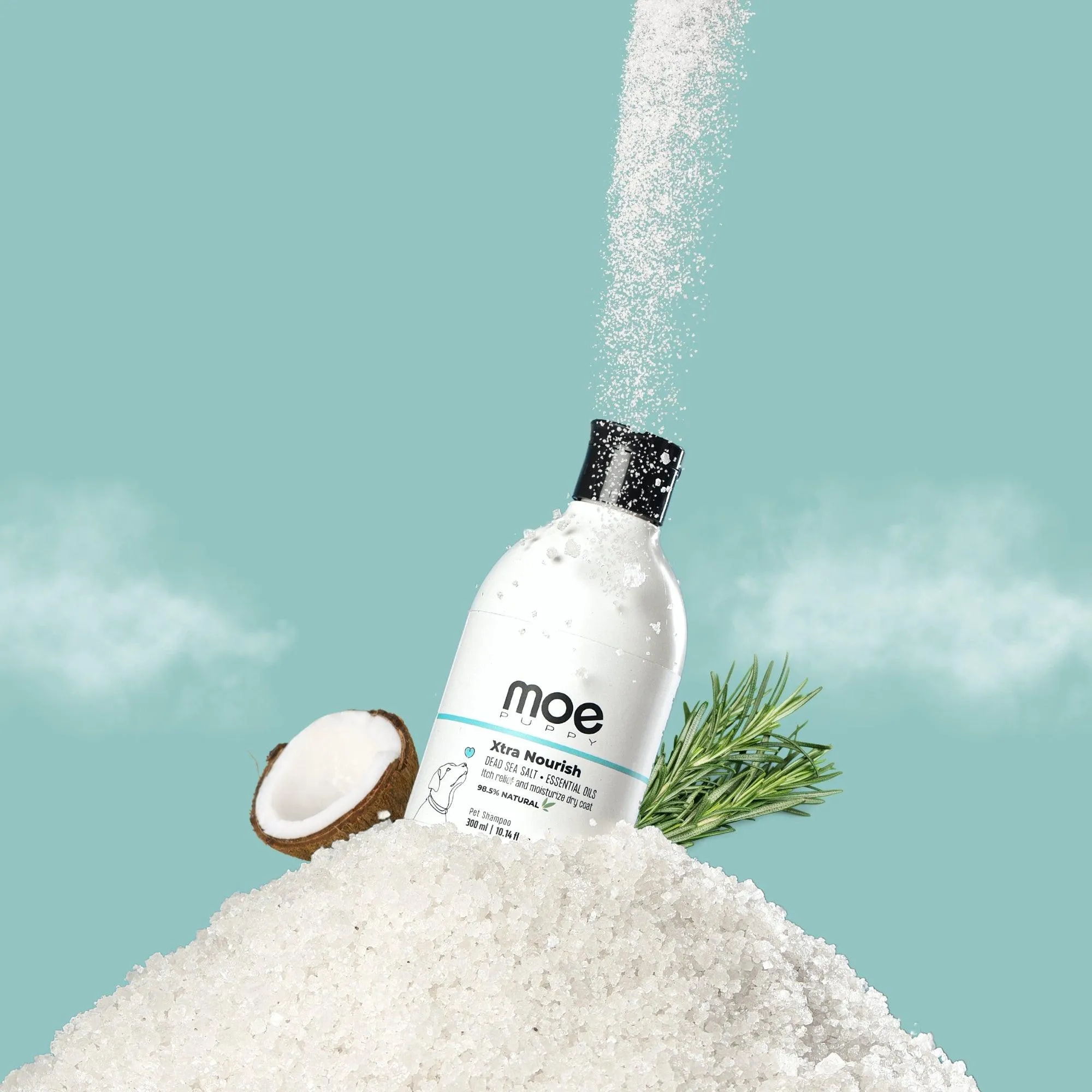 Xtra Nourish Medicated Shampoo for Dogs & Cats