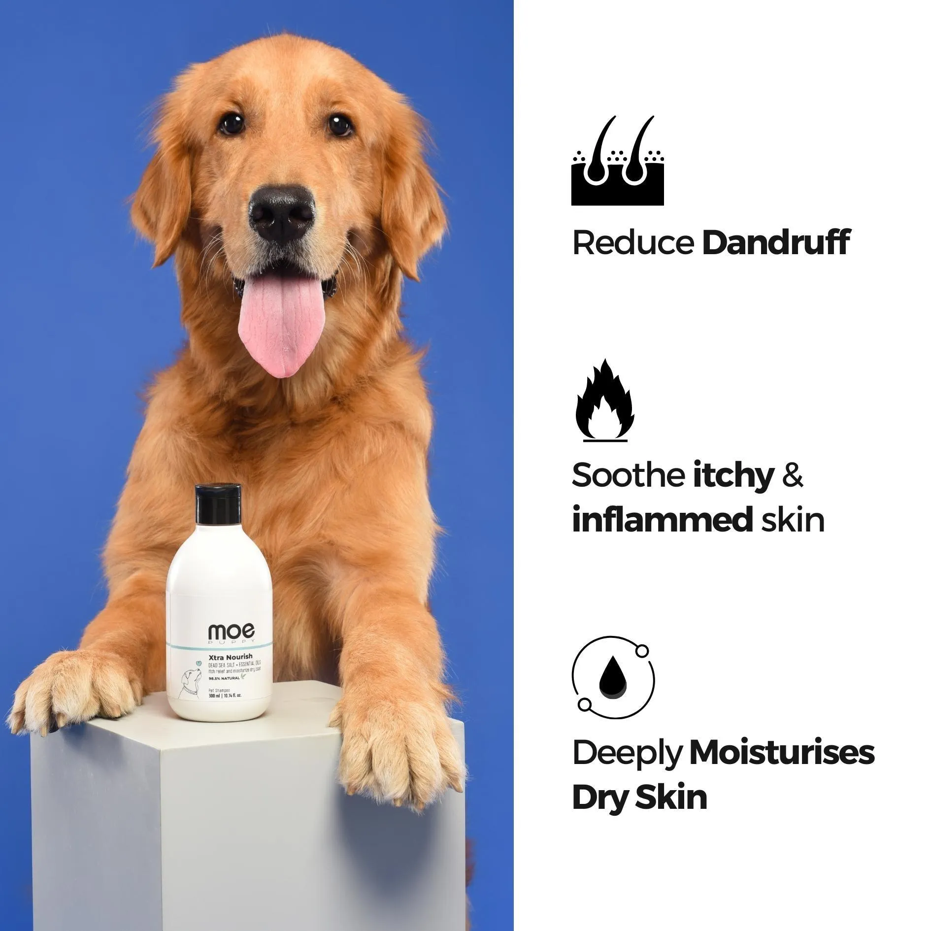 Xtra Nourish Medicated Shampoo for Dogs & Cats