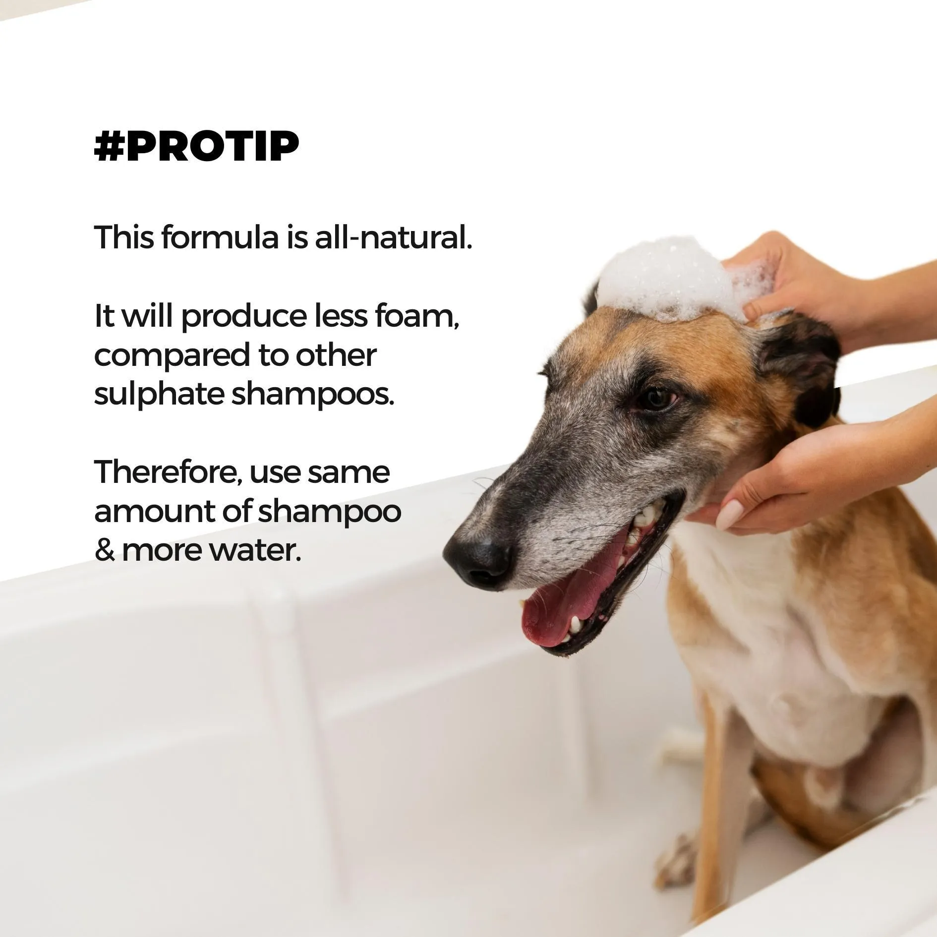 Xtra Nourish Medicated Shampoo for Dogs & Cats