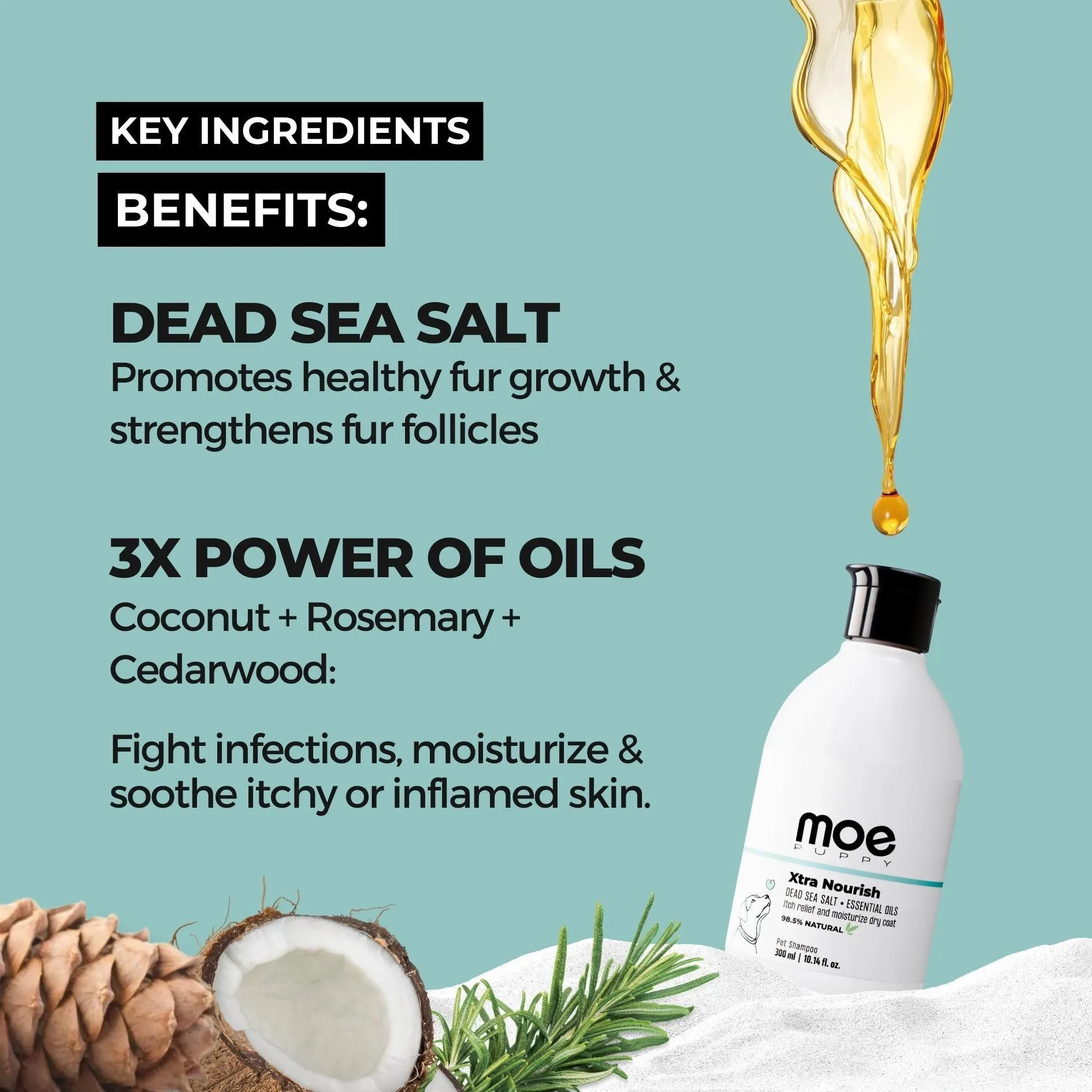 Xtra Nourish Medicated Shampoo for Dogs & Cats